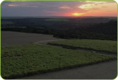 Sustentabilidade